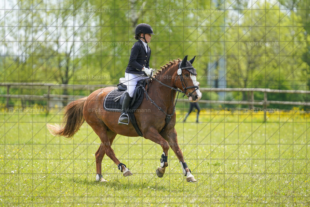 20230521-FAH06262 | Frühjahrsturnier, Landsberg am Lech, 2023, Reitclub Landsberg, Turnierbilder, Fotos Turnier Landsberg, Fotoagentur Herrmann, Turnierfotografen Bayern, Reitsport Fotograf, Pferde Fotograf