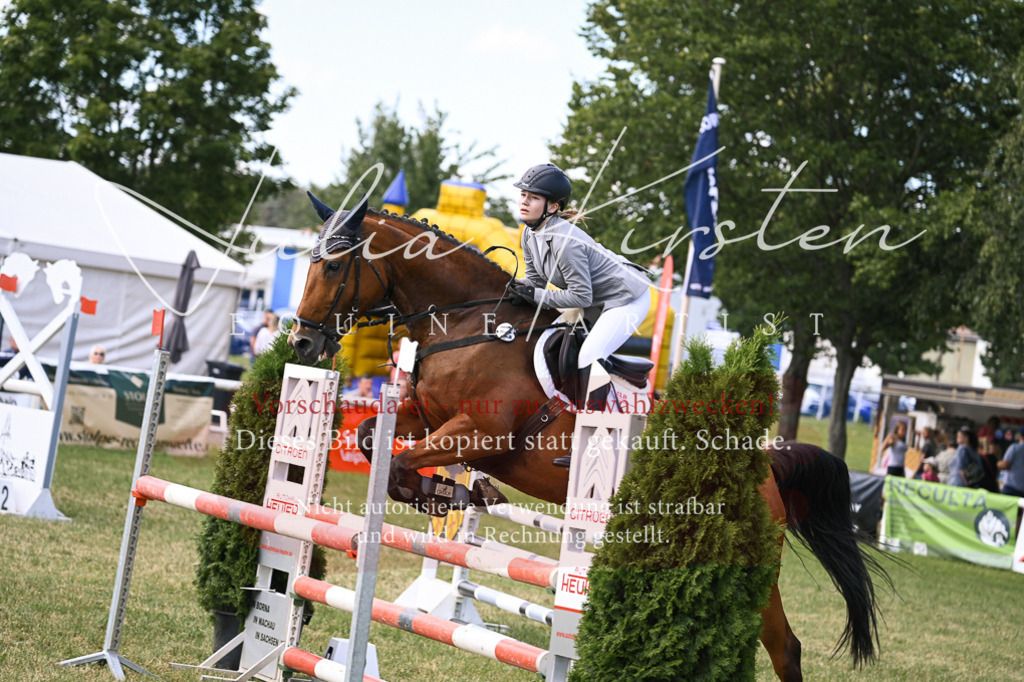 DSC_0574 | Pferde- und Turnierfotografie in Westsachsen. Pferdeportraits, Auftragszeichnungen und intuitive Kunst.