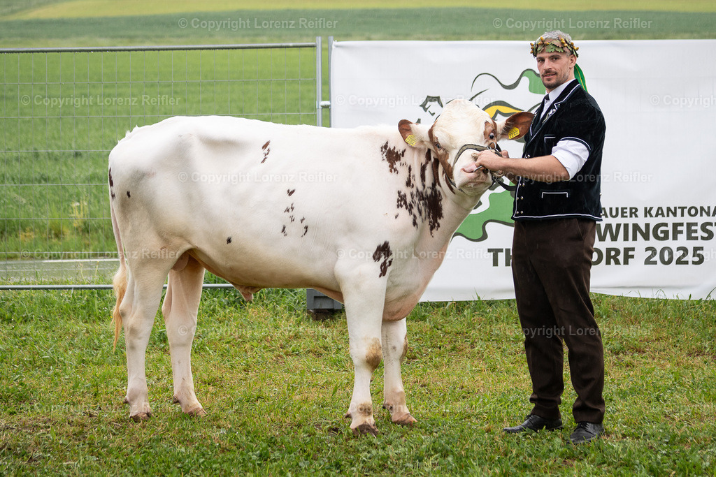 Schwingen -  Thurgauer Kantonales 2025 | Thundorf, 4.5.25, Schwingen - Thurgauer Kantonales.