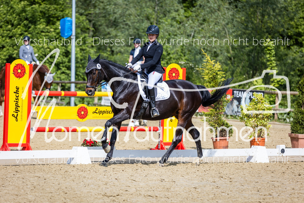 Donop24-L-Dre-033 | MomenTaufnahmen Pferdesportfotos