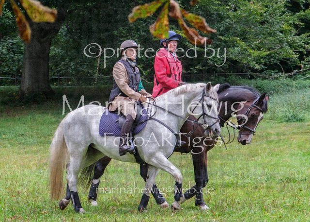 Jagd Perdoel_MarinaHewigDSCF3335 | Fotografie, FotoArt, PferdesportArt, Pferdesportfotografie, Landschaftsfotografie, Reisefotografie, Reise, Pferde - Realisiert mit Pictrs.com