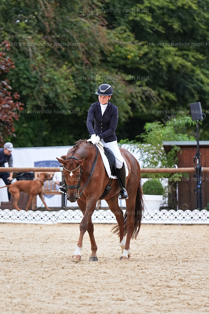 04_1-112-Dressur M__ -Marixx-2739 | working equitationturnier fotograf videograf stoibphotography marixx film working equitation deutschland reitsport turnierfotografie eventfotografie equestrian events