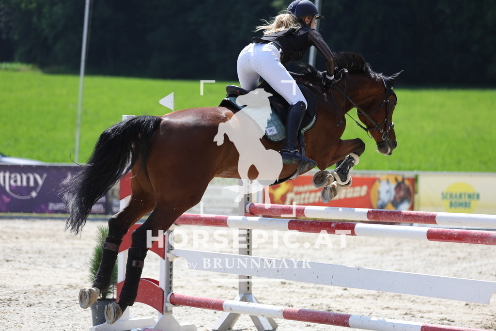 0P6A0212 | Willkommen bei Brunnmayr - Design & Fotografie – Ihrem Spezialisten für Reitturniere und Pferdeveranstaltungen in Oberösterreich, Salzburg und Bayern! Seit über 17 Jahren sind wir leidenschaftlich dabei.