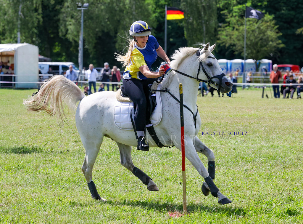 1B3A4244 | Reitsport Reiten