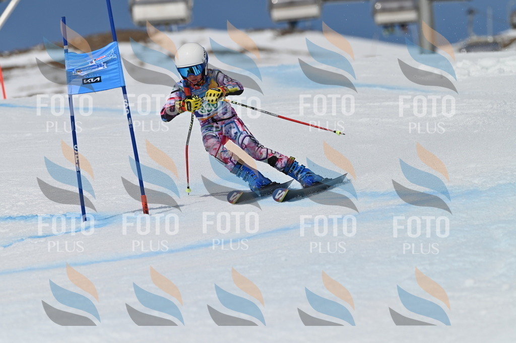 BGV_6650 | holidayphoto