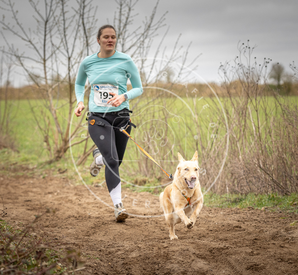 DV3A2304 | Hundefotografie, Tierfotograf, Pfotenfotografie, Fotoshooting Hund, Hunde Portrait, Hundesport, Hundeportraits, Heideshooting, Hunde, Sportfotograf, Hundefotograf, Turnierhundsport, THS,  - Realisiert mit Pictrs.com