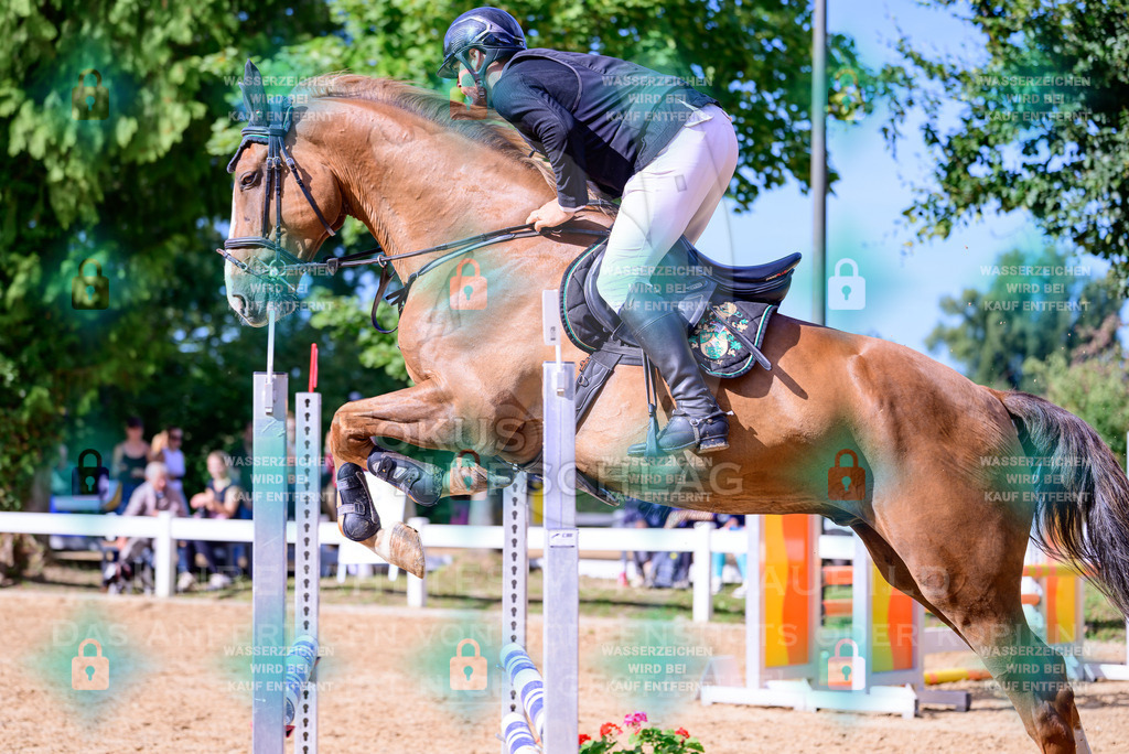 30082026-Giesenbach-Prfg16-0532 | Fokus Hufschlag Fotografie - Realisiert mit Pictrs.com