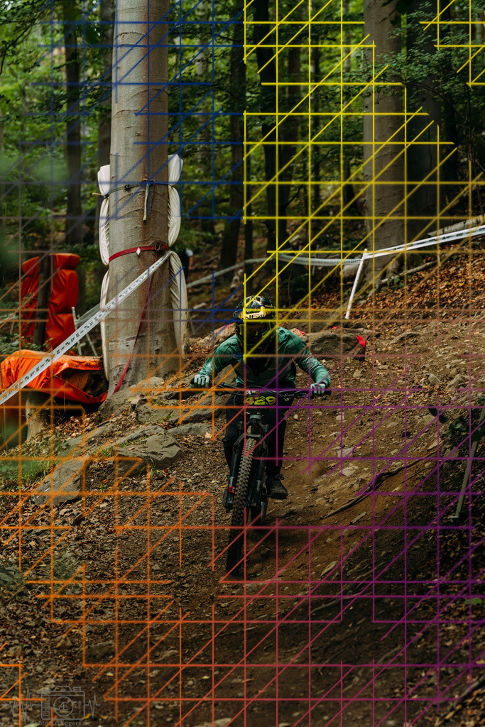 PAE-1540 | Einzigartige Fotokunst für dein Zuhause: Entdecke hochwertige Wandbilder, edle Prints und emotionale Motive von Wildlife, Natur und Landschaften - Realisiert mit Pictrs.com