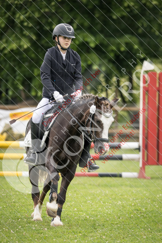 IMG_2727 | Sport-, Event- und Tierfotos in Profiqualität. Einfach auswählen, bestellen und herunterladen. Dein Moment – perfekt festgehalten.