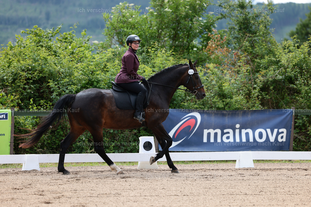 KlasseE_Stoibphotography_CAM21730.JPG | working equitationturnier fotograf videograf stoibphotography marixx film working equitation deutschland reitsport turnierfotografie eventfotografie equestrian events