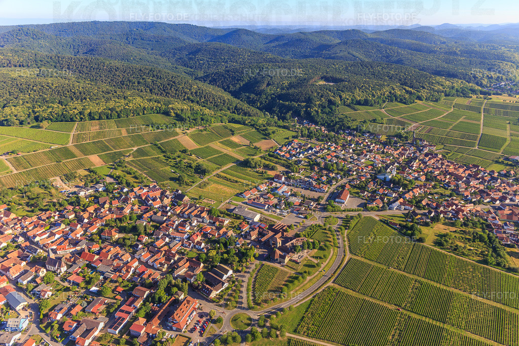 B38-Umgehung für Deutsches Weintor aus Südosten | Luftbild: B38-Umgehung für Deutsches Weintor aus Südosten im Ortsteil Schweigen in Schweigen-Rechtenbach im Bundesland Rheinland-Pfalz in Deutschland. Foto: IMG_100993.jpg vom 17.06.2017 durch Werner Riehm/FLY-FOTO.de - Realisiert mit Pictrs.com