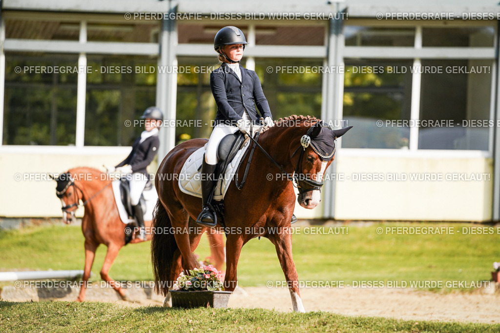 DSC05958 | Pferdegrafie