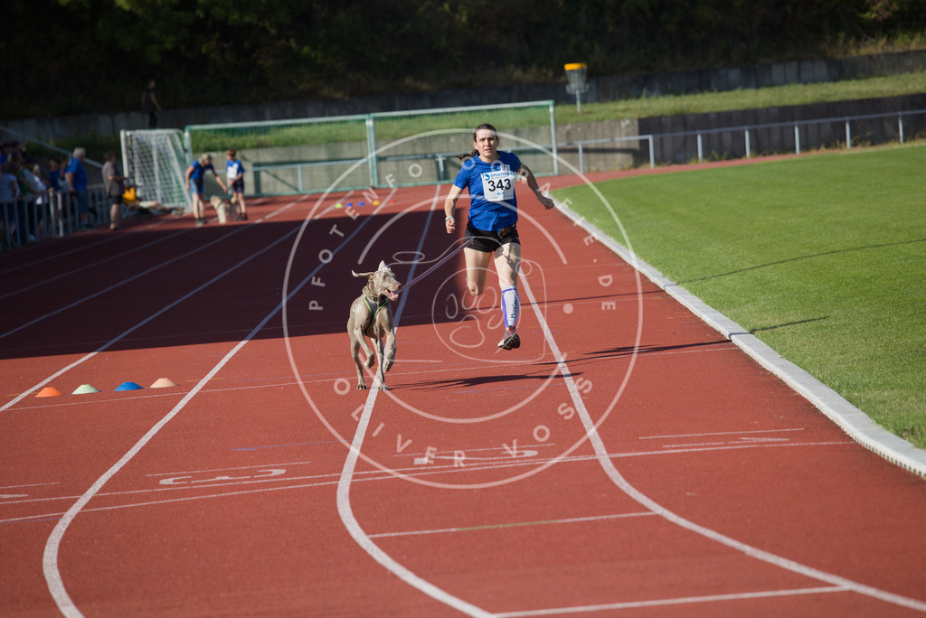 0L8A9057 | Hundefotografie, Tierfotograf, Pfotenfotografie, Fotoshooting Hund, Hunde Portrait, Hundesport, Hundeportraits, Heideshooting, Hunde, Sportfotograf, Hundefotograf, Turnierhundsport, THS,  - Realisiert mit Pictrs.com