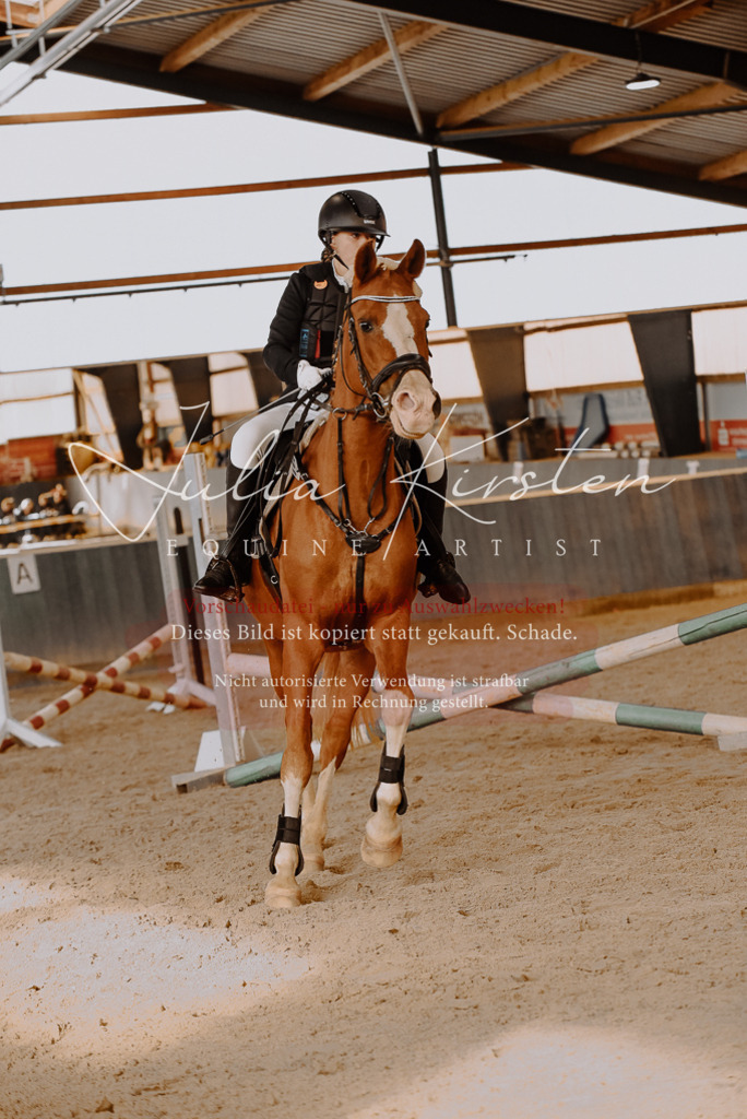 DSC_7450 | Pferde- und Turnierfotografie in Westsachsen. Pferdeportraits, Auftragszeichnungen und intuitive Kunst.