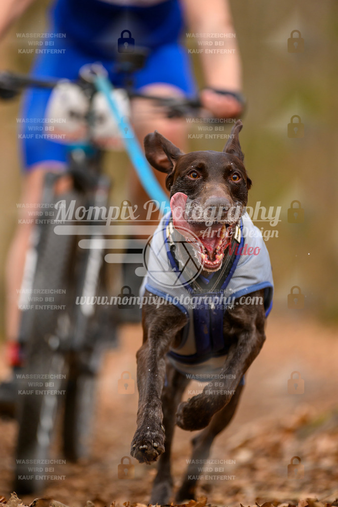 MompixPhotography_Habay2025_SA_Bike-94 | mompixphotography