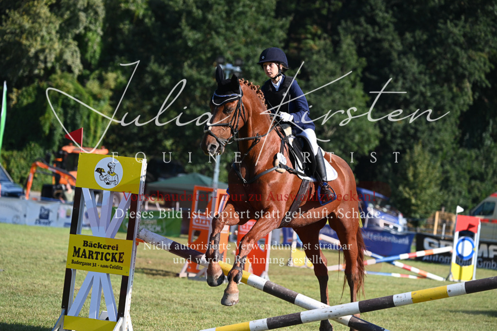 DSC_5110 | Pferde- und Turnierfotografie in Westsachsen. Pferdeportraits, Auftragszeichnungen und intuitive Kunst.