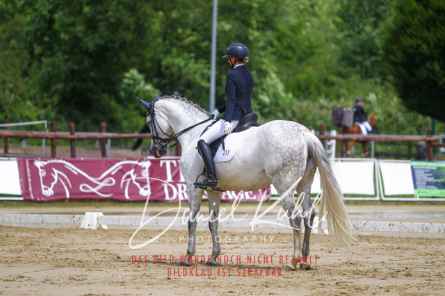 DKP40645 | Turniersportfotografie; Pferdefotografie; Dressurfotografie