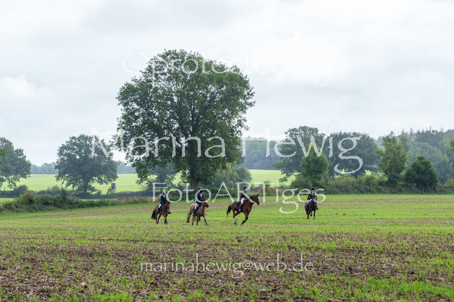 Jagd Perdoel 26 Sony-03378_MarinaHewig | Fotografie, FotoArt, PferdesportArt, Pferdesportfotografie, Landschaftsfotografie, Reisefotografie, Reise, Pferde - Realisiert mit Pictrs.com
