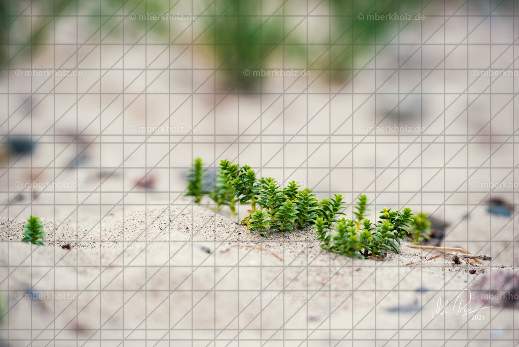 marko_berkholz_mberkholz_us_MBE4341 | Bildkunst Warnemünde, Fotokunst Warnemünde, Fotostudio Rostock Warnemünde, Technologiecampus, Onlinedruckerei, Fotokunst Warnemünde, Ostseebad Warnemünde 