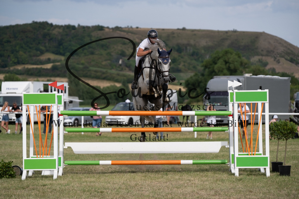 A7V02775 | Pferdefotograf