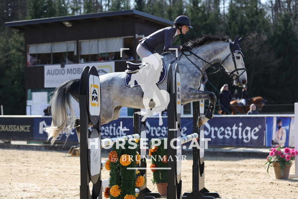 0P6A2194 | Willkommen bei Brunnmayr - Design & Fotografie – Ihrem Spezialisten für Reitturniere und Pferdeveranstaltungen in Oberösterreich, Salzburg und Bayern! Seit über 17 Jahren sind wir leidenschaftlich dabei.