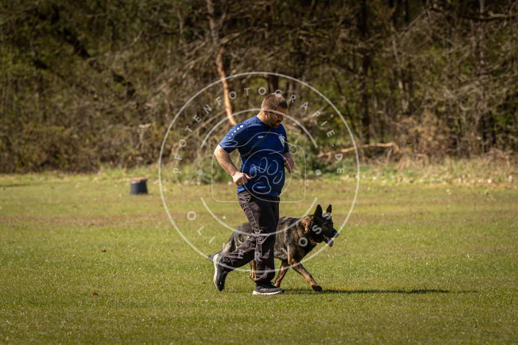 Pfotenfotografie_DV3A0815 | Hundefotografie, Tierfotograf, Pfotenfotografie, Fotoshooting Hund, Hunde Portrait, Hundesport, Hundeportraits, Heideshooting, Hunde, Sportfotograf, Hundefotograf, Turnierhundsport, THS,  - Realisiert mit Pictrs.com