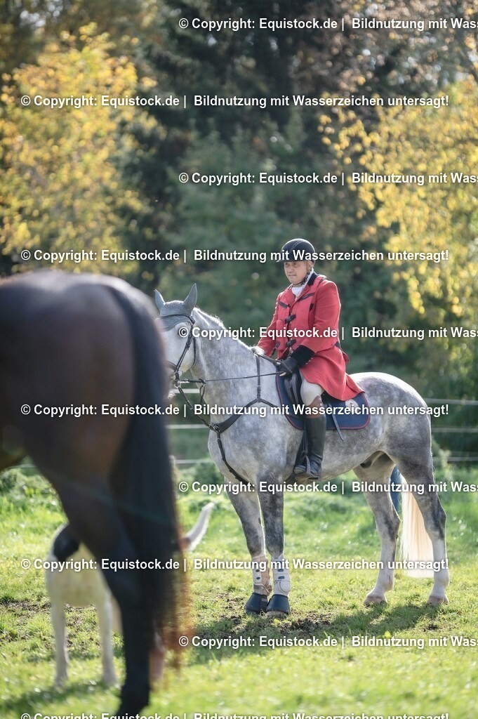 20251011_Jagd-Marbach_0153 | Foto: Thomas Hartig