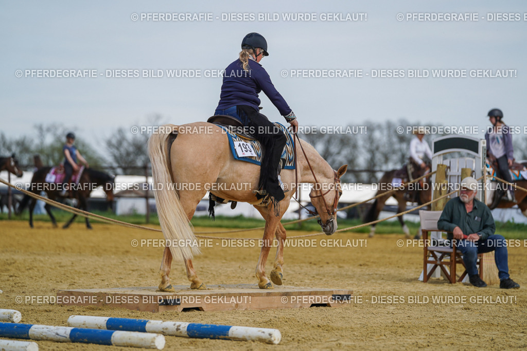 DSC05094 | Pferdegrafie