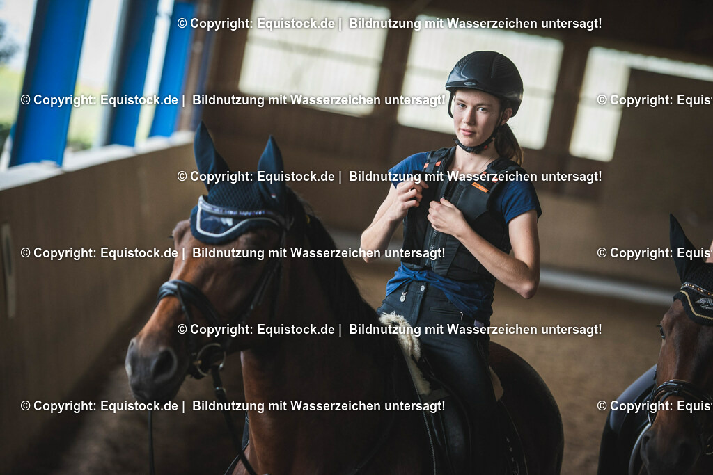 20190811_Sturzweste_0032 | equistock