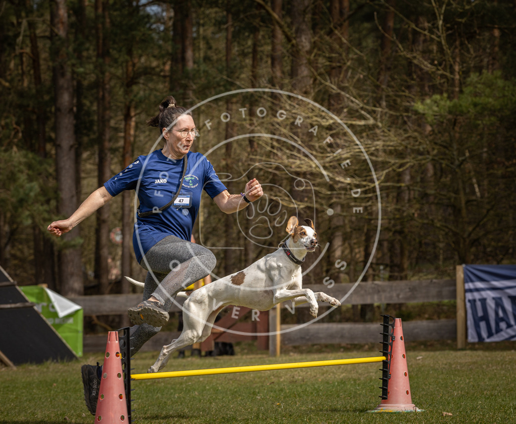 Pfotenfotografie_DV3A6979 | Hundefotografie, Tierfotograf, Pfotenfotografie, Fotoshooting Hund, Hunde Portrait, Hundesport, Hundeportraits, Heideshooting, Hunde, Sportfotograf, Hundefotograf, Turnierhundsport, THS,  - Realisiert mit Pictrs.com