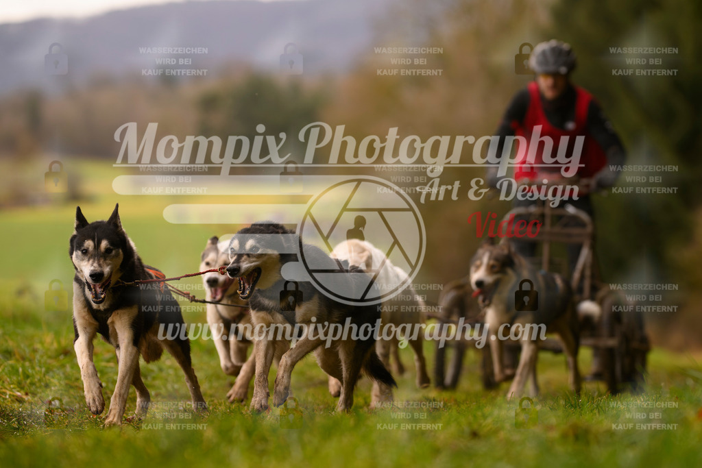 MompixPhotography_2SSTSSBW_2025_SO_Kart-46 | PayLife