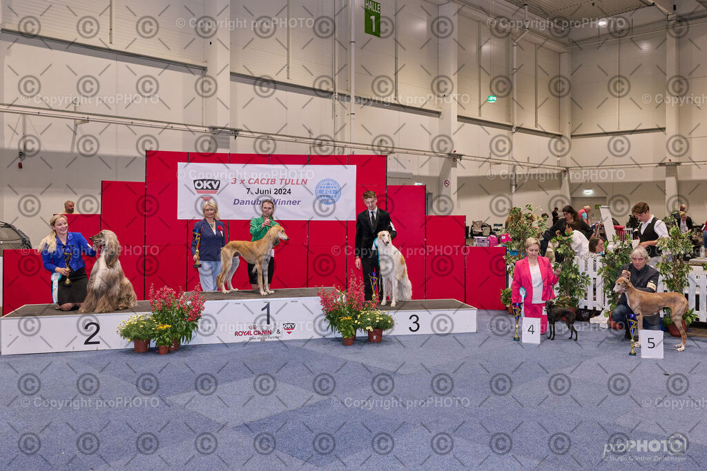 202406_ÖKV-IHA-Tulln24_NZ9_7893 | proPHOTO - Realisiert mit Pictrs.com