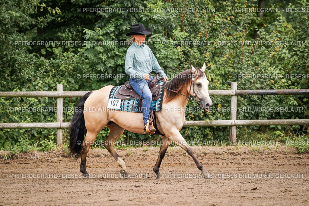 DSC06242 | Pferdegrafie