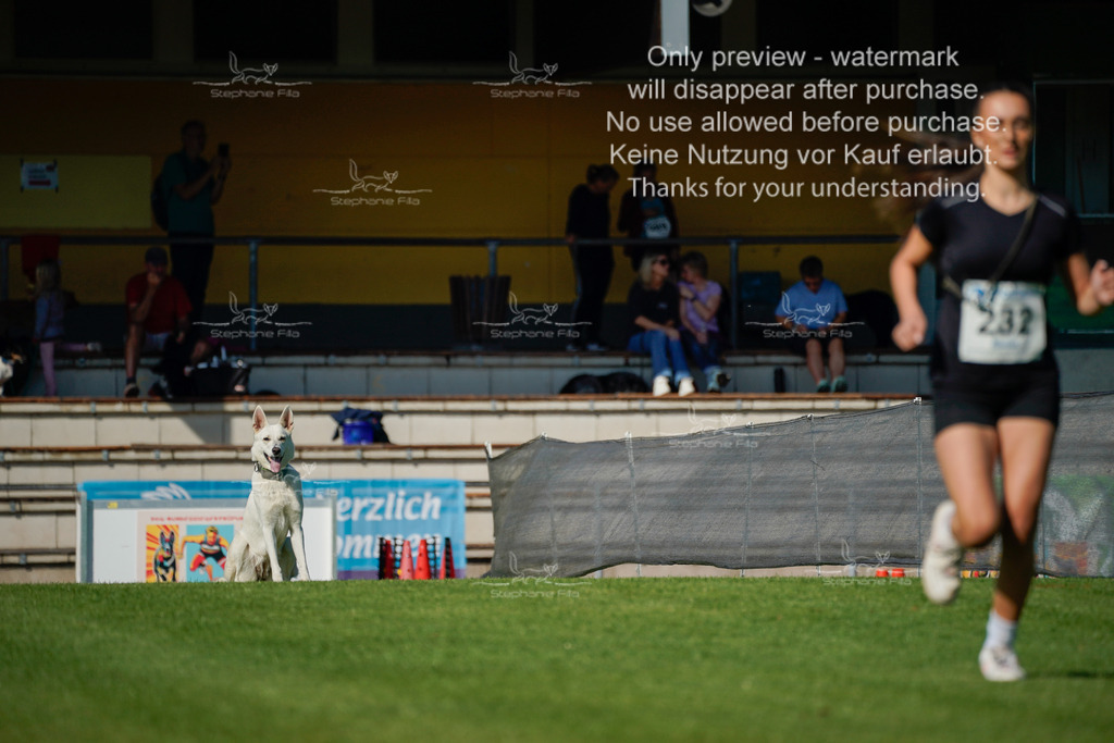 Samstag_Gehorsam_V2 (111) | stephaniefillaphotographie - Realisiert mit Pictrs.com