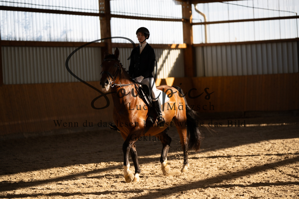 A7V01756 | Turnier/Reitfotograf