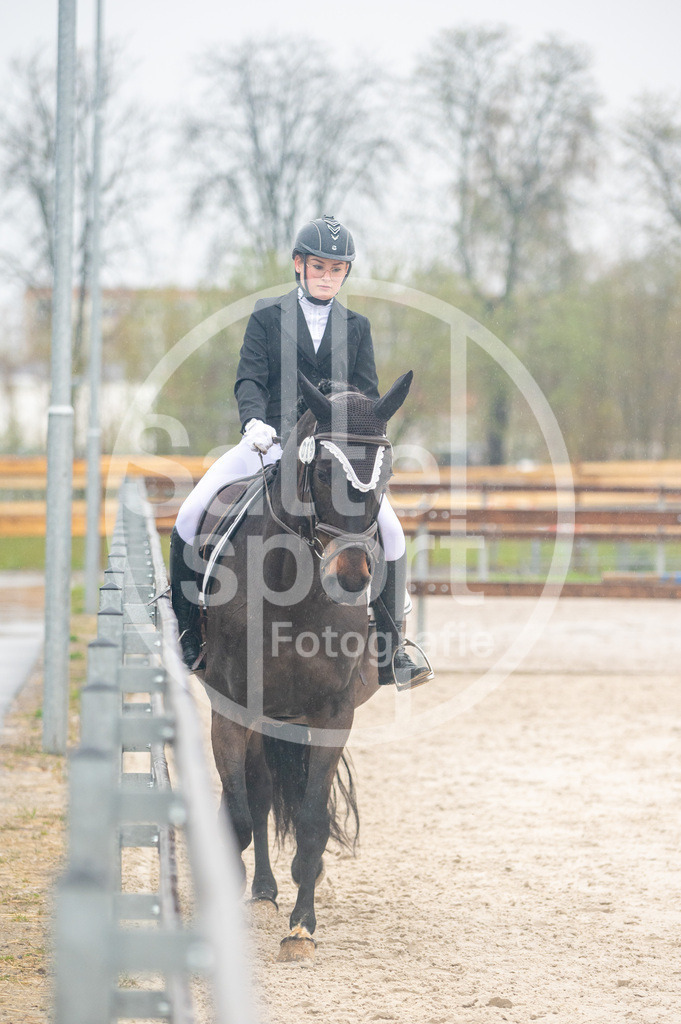 DSC_3552 | sattelsport - Realisiert mit Pictrs.com