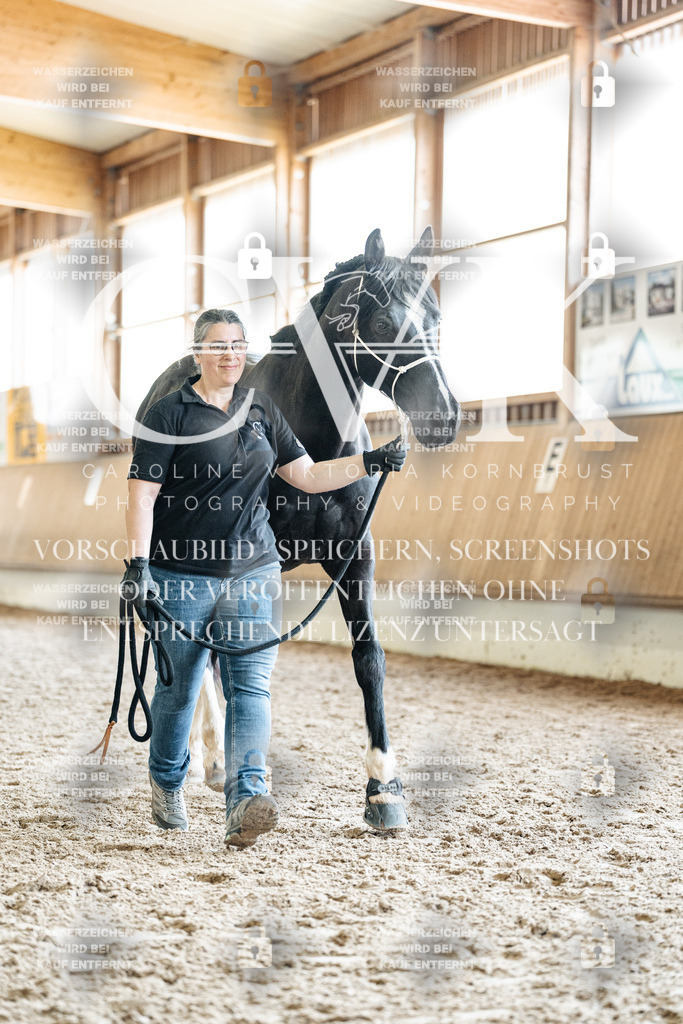 CK908001 | Turnierfotografie Pferdefotografie Trier Rheinland-Pfalz Pferdesport Reitsport Tierfotografie Sportfotografie Pferdevideo Pferdevideografie Equestrianvideography equestrianphotography  - Realisiert mit Pictrs.com