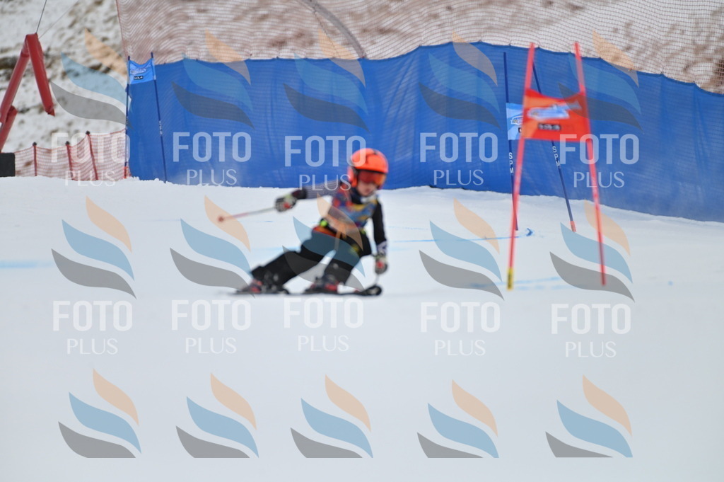 BGV_1745 | holidayphoto