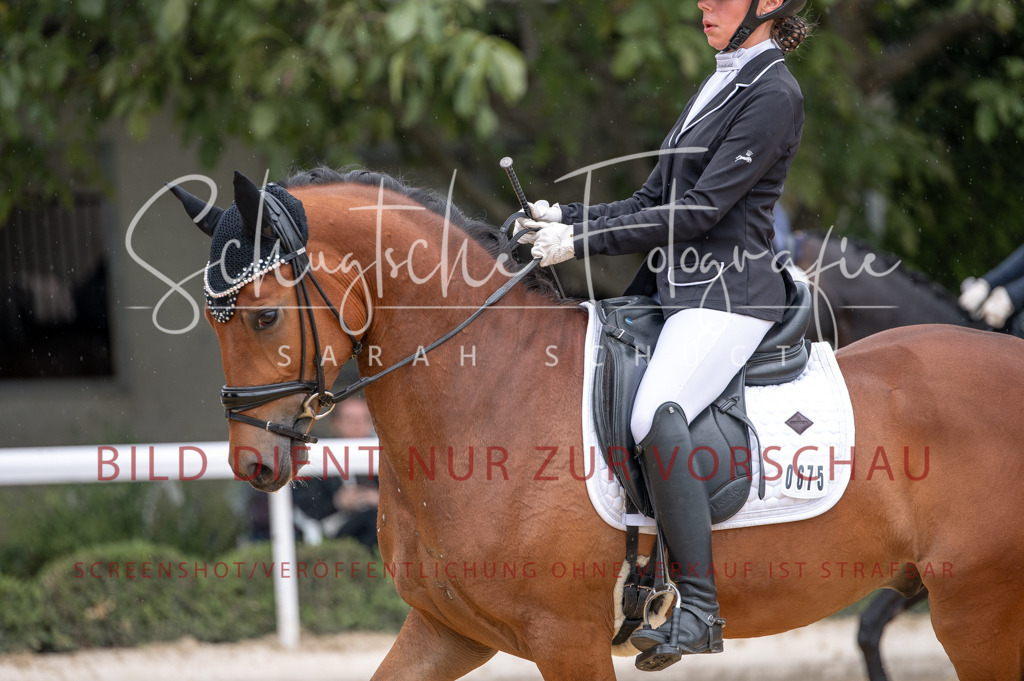 Schugtsche-Aluta25-41.Amat-Dressurprf.A_-428 | Schugtsche Fotografie - Realisiert mit Pictrs.com