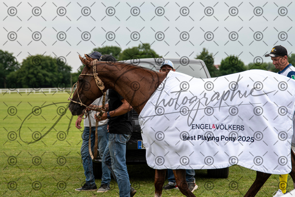 POL_4023 | andre_photographic