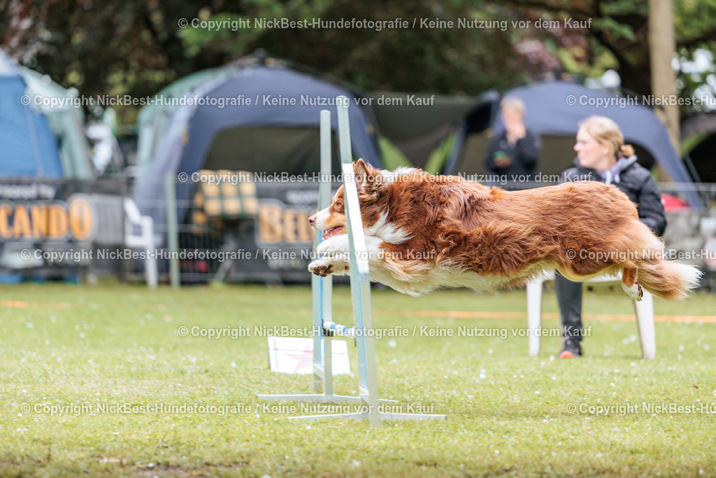 RO-Blumenthal-2026-Nickbest-Hundefotografie-2323 | Dein Hund! Dein Moment! Deine Erinnerungen! Hundefotografie in Bremen Blumenthal. Ich fange die besonderen Momente deines Vierbeiners ein – ob Indoor mit Blitzanlage oder in der freien Natur. Sicher dir dein Moment und dein Termin für eure Erinnerungen.