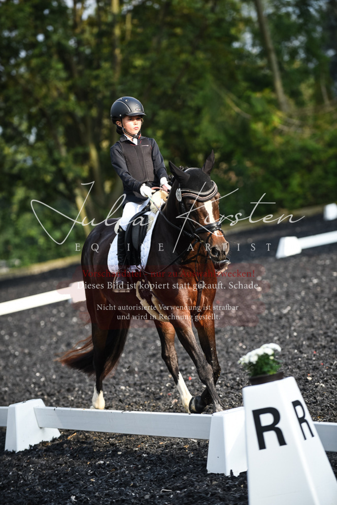 DSC_3536 | Pferde- und Turnierfotografie in Westsachsen. Pferdeportraits, Auftragszeichnungen und intuitive Kunst.