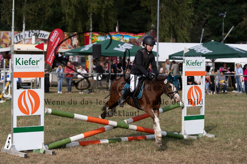 A7V08405 | Pferdefotograf