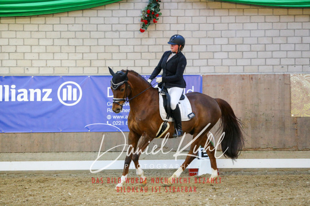 IMG_2966 | Turnierfotos kaufen im Webshop von Daniel Kuhl Photography – entdecke professionelle Reitsportfotos aus Turnieren & Events. Hochwertige Turnierbilder online bestellen & sichern. Jetzt Fotos von Reitsportturnieren kaufen!