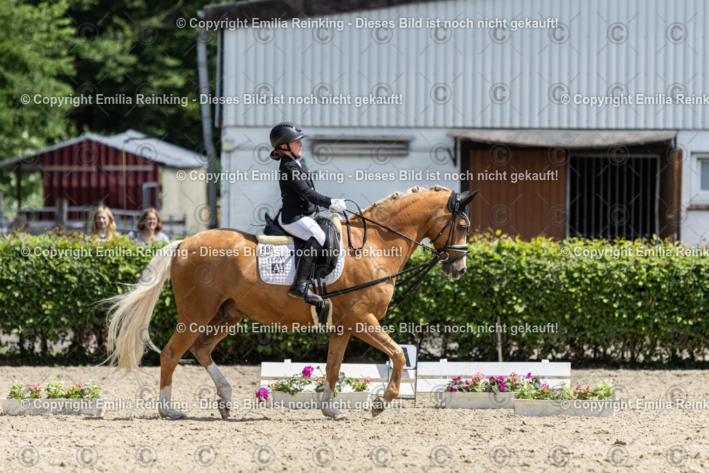 CL5A9442 | Emilia Reinking Fotografie - Realisiert mit Pictrs.com