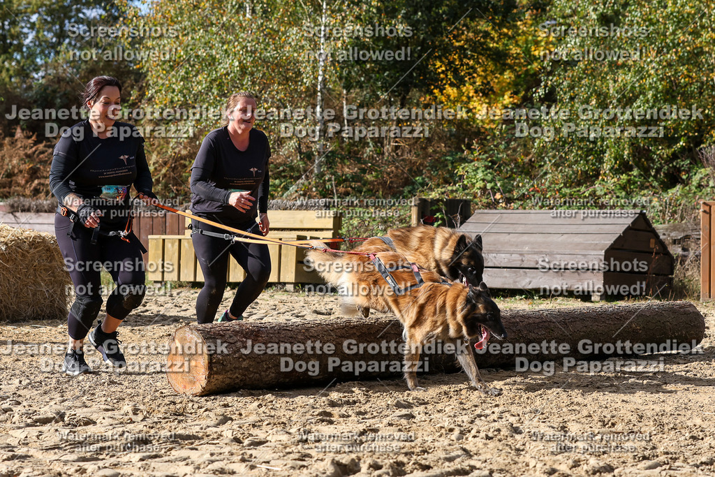 Dog Paparazzi - Strongdog 10-25-5353 | Dog Paparazzi Jeanette Grottendiek Fotografie & Videografie - Realisiert mit Pictrs.com