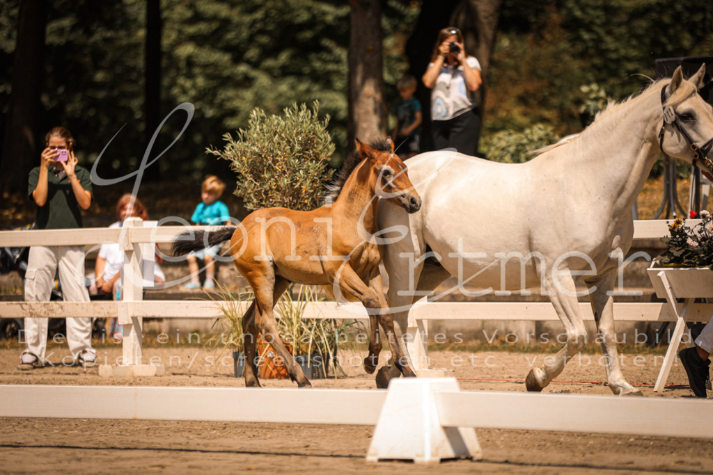 02.DoSR00150 | Leoni Ertmer Photography - Realisiert mit Pictrs.com