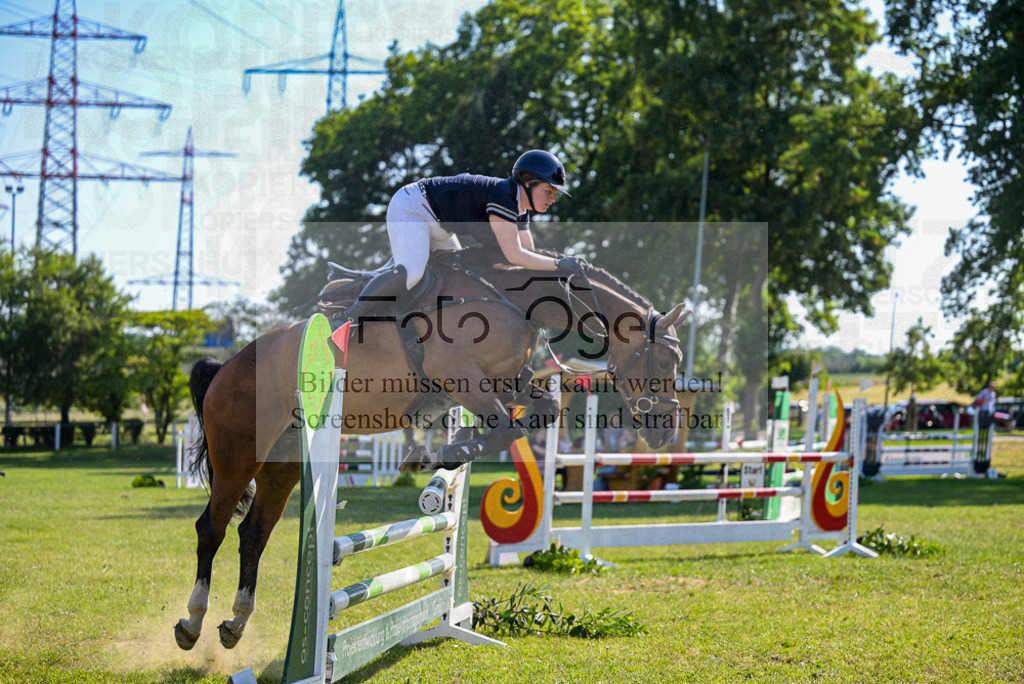 Reitturnier Voxtrup | Entdecke hochwertige Reitturnierfotos von Foto Oger. Professionell, emotional und authentisch – jetzt Lieblingsmomente im Shop bestellen.Deutschlandweite Turnierfotografie. - Realisiert mit Pictrs.com