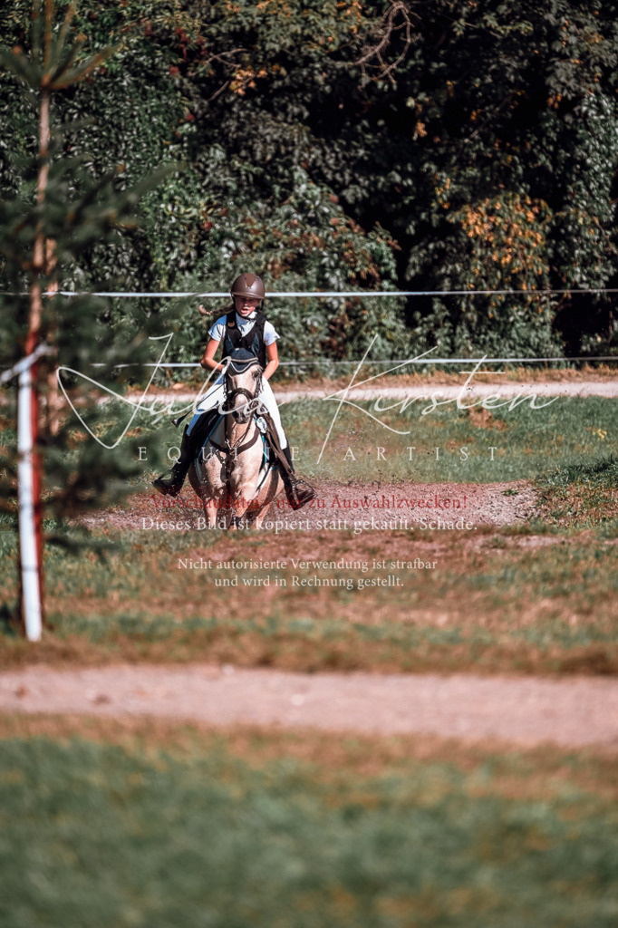 DSC_1066 | Pferde- und Turnierfotografie in Westsachsen. Pferdeportraits, Auftragszeichnungen und intuitive Kunst.