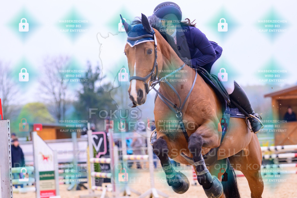 10042026-Mammendorf-Prfg17-0108 | Fokus Hufschlag Fotografie - Realisiert mit Pictrs.com